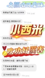 南投定點茶-小西米