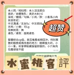 高雄定點茶-水蜜桃