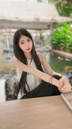 台北定點茶-白月光